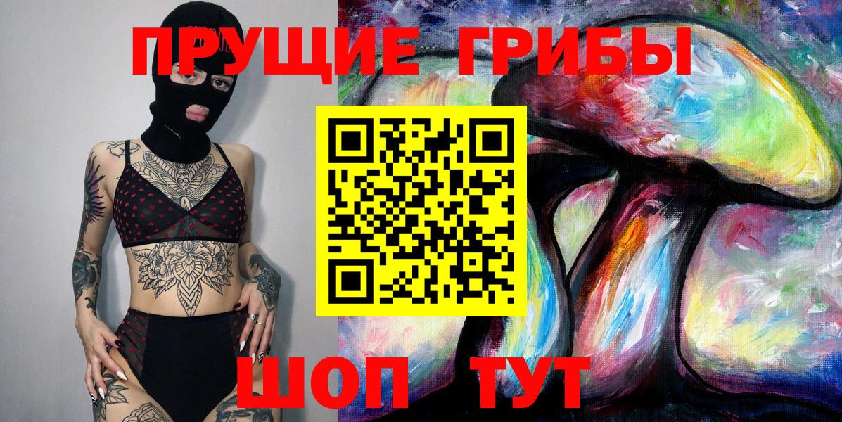 Галлюциногенные грибы Psilocybe Омск